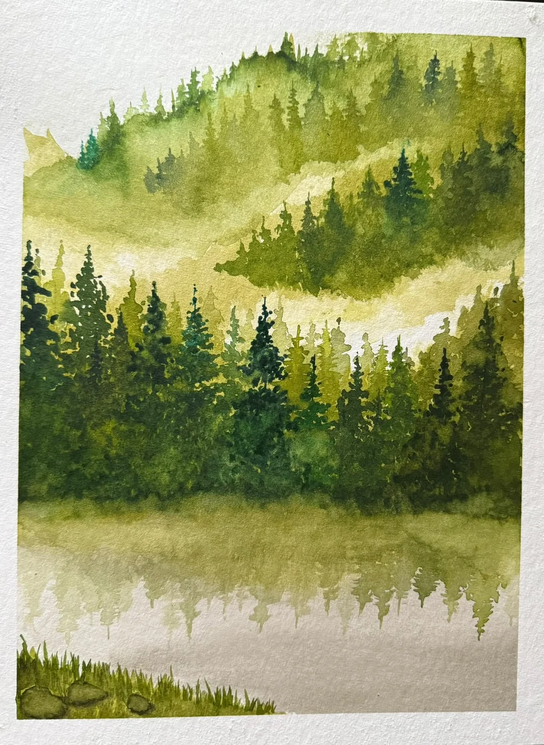 Bosque de pinos con neblina reflejado en un lago, acuarela